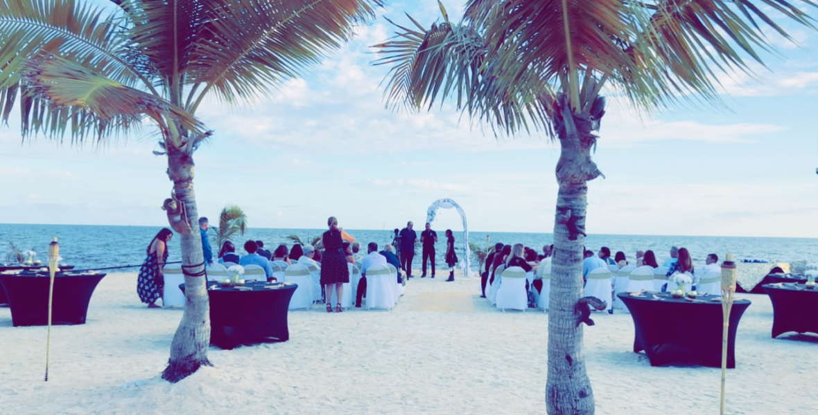 Lazy Lobster Offers On and Offsite Catering Lazy Lobster Offers Catering